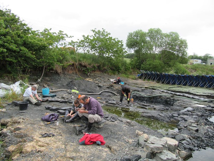 Scientists excavating fossils on a riverbank