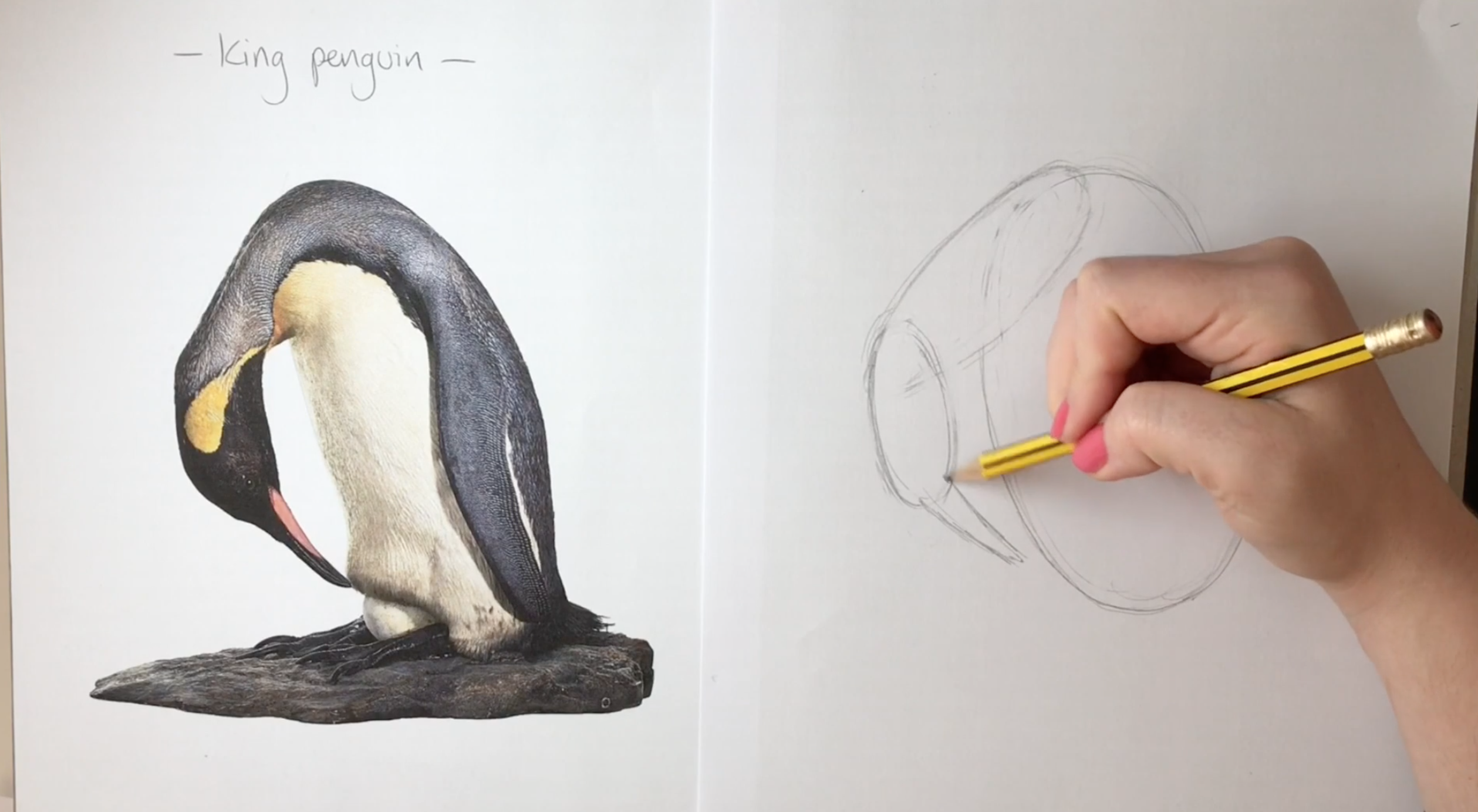 Buy Penguin Drawing PRINT Online in India - Etsy