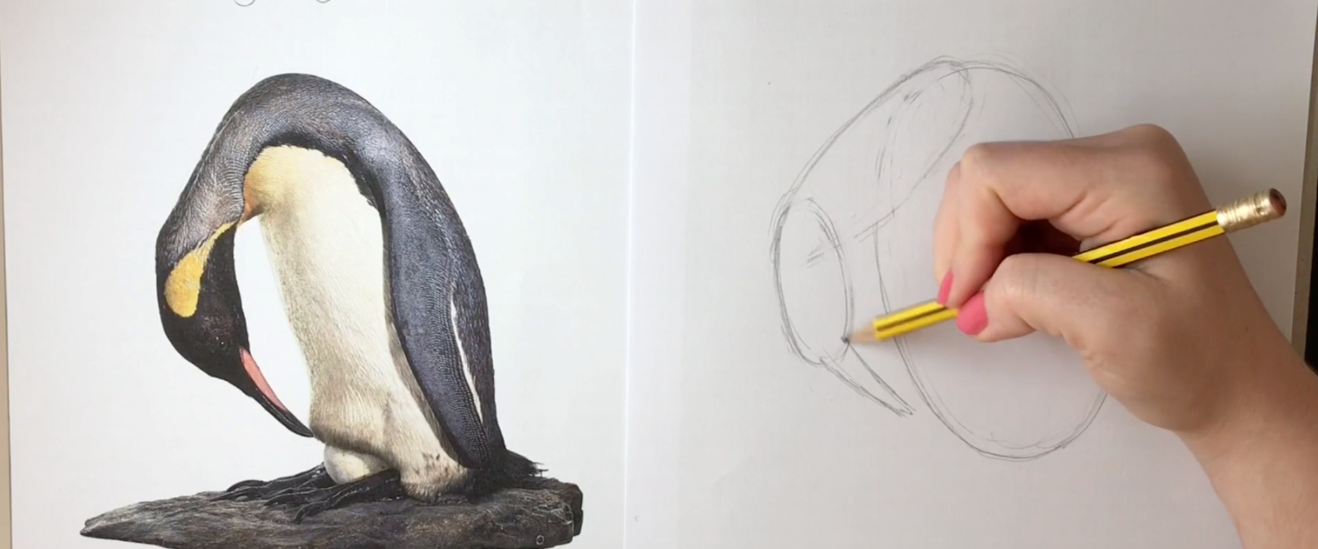 Penguin Speed Draw 1 