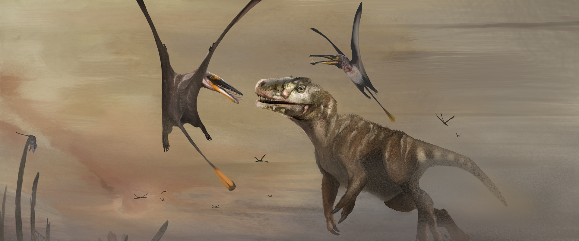 Skye high: Jurassic pterosaur discovery, pterodactyl vs pteranodon 